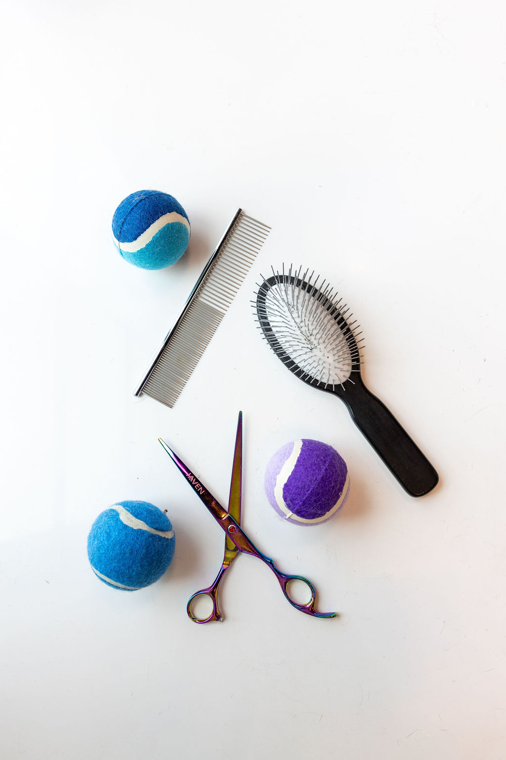 Overhead flat-lay of professional dog grooming tools including combs, a slicker brush, rainbow-metal shears, and colorful tennis balls