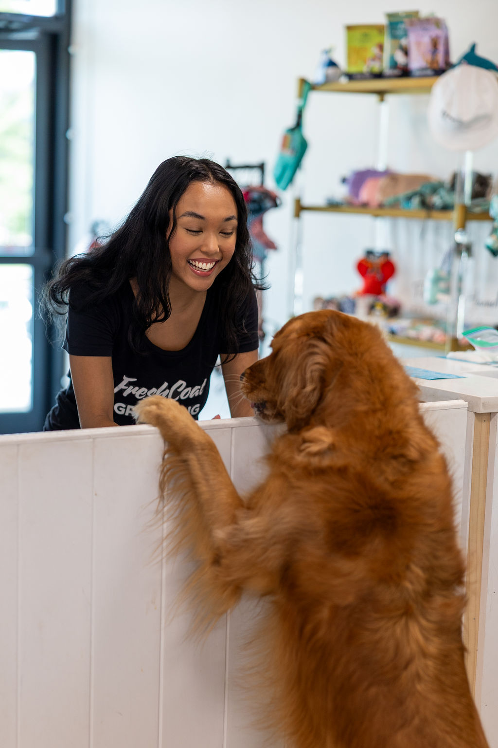 FreshCoat Grooming front desk staff member greeting a friendly golden retriever at the check-in counter in Charlotte, NC