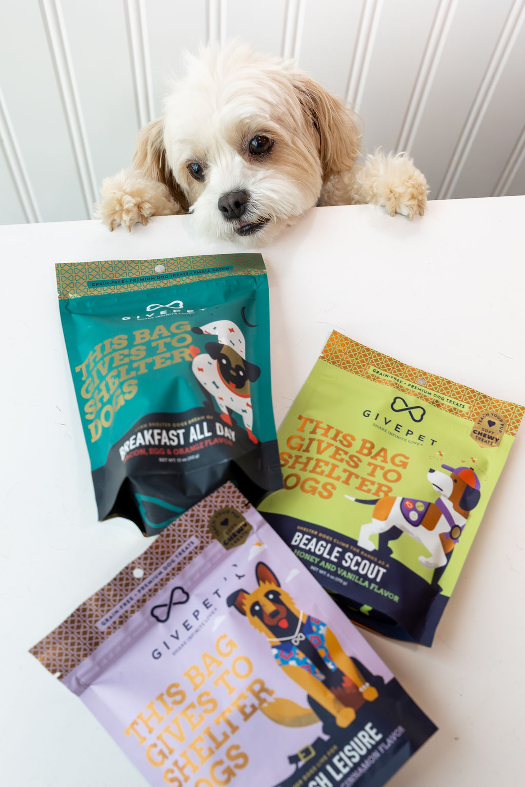 Small dog eyeing grain-free GivePet treats at the FreshCoat front counter